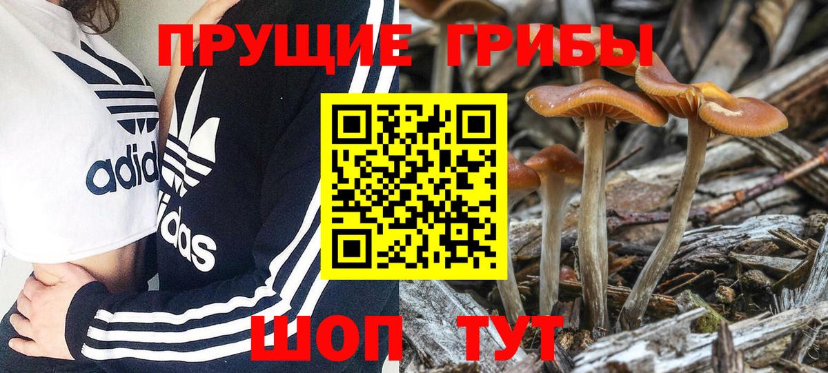 Псилоцибиновые грибы мухоморы  Вход с VPN  где купить наркоту  Таганрог 