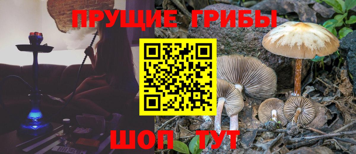 Галлюциногенные грибы прущие грибы Таганрог